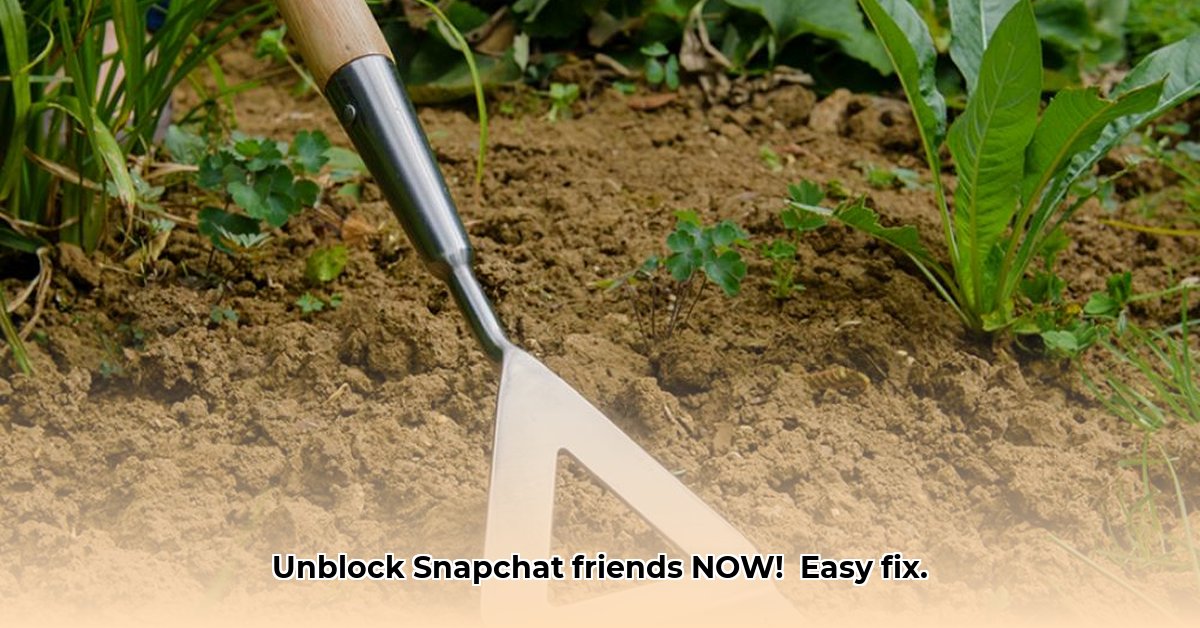 hoe-deblokkeer-je-iemand-op-snapchat